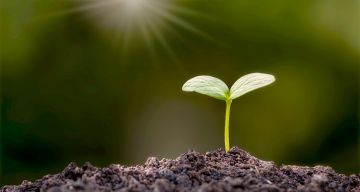 Consulenza Certificazione GLOBALG.A.P. per Azienda Agricola in Lazio e Sicilia