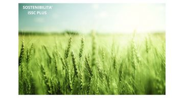 Consulenza per la Certificazione ISCC PLUS: Tutto quello che devi sapere per ottenere la Certificazione di Sostenibilità