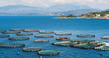 Certificazione Friend of the Sea: Lo Standard per la Pesca e l’Acquacoltura Sostenibile