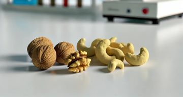 Modifica dei Tenori Massimi di Nichel negli Alimenti: Novità dal Regolamento (UE) 2024/1987