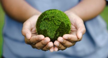 Caso di successo: Implementazione della certificazione ISO 14001 in un’azienda alimentare