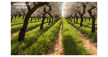 Consulenza per Certificazione ISCC PLUS - Successo di un'Azienda di Lavorazione della Frutta Secca